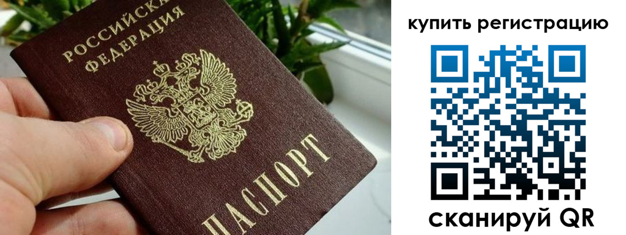 прописка гарантия в Шумерле